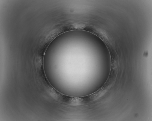X0000091240321200708161741