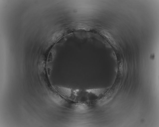 X0000091240322200708161741