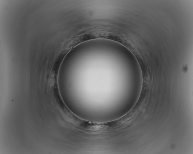 X0000091240323200708161741
