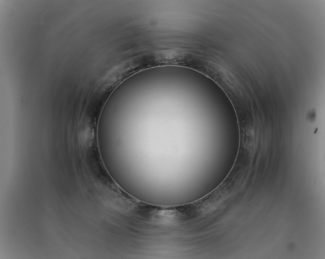 X0000091240324200708161741