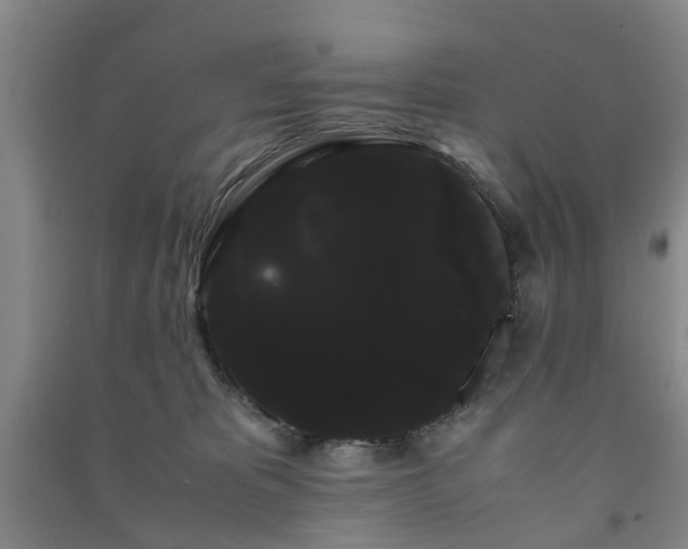 X0000091240325200708161741