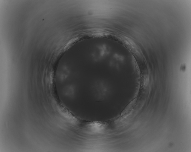X0000091240326200708161741