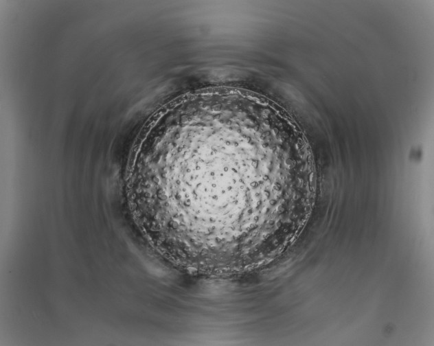 X0000091240327200708161741