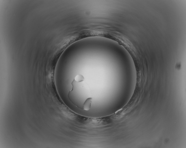 X0000091240329200708161741