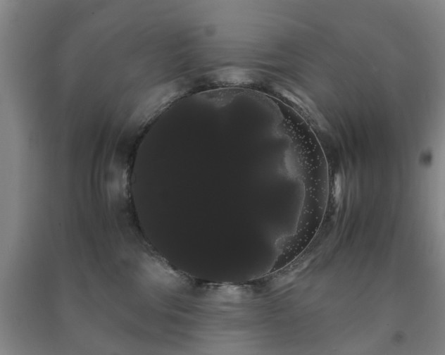 X0000091240330200708161741