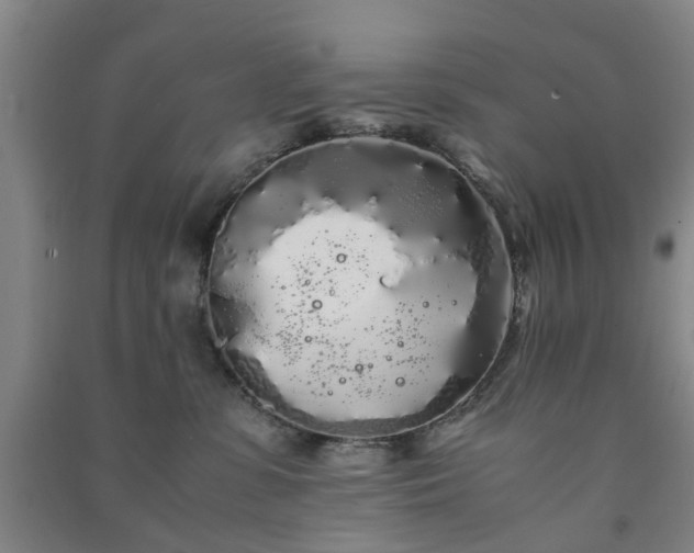 X0000091240331200708161741