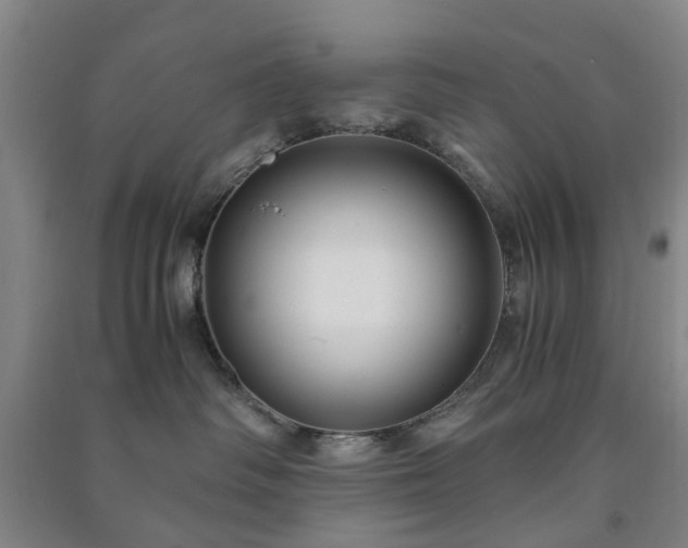 X0000091240334200708161741