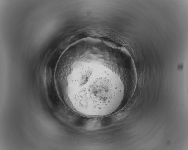 X0000091240335200708161741