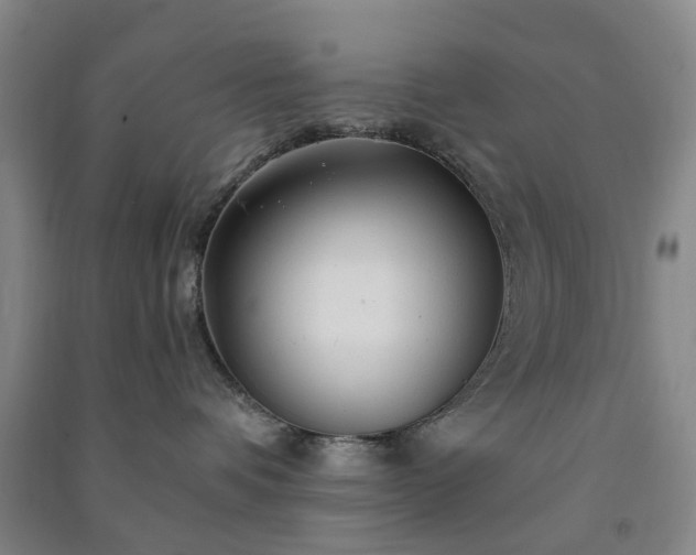 X0000091240336200708161741