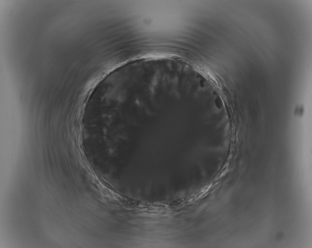 X0000091240337200708161740