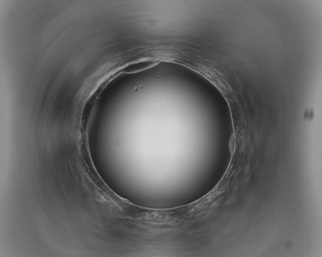 X0000091240338200708161740