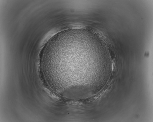 X0000091240339200708161740