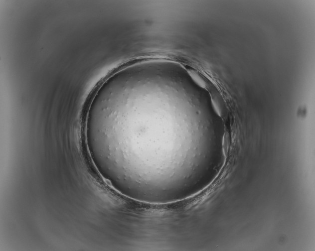 X0000091240342200708161740