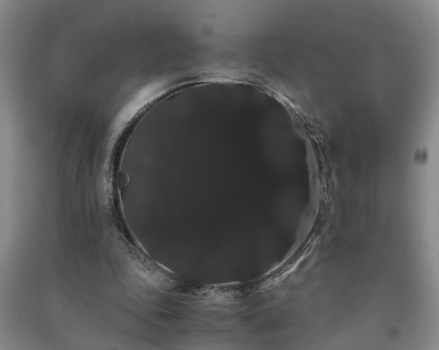 X0000091240343200708161740