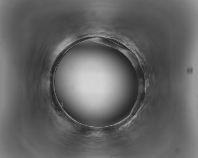 X0000091240344200708161740