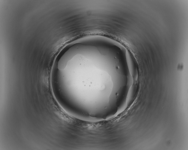 X0000091240345200708161740