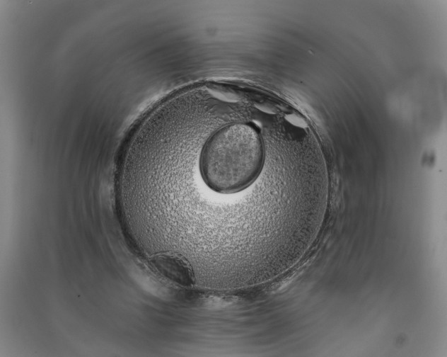 X0000091240346200708161740