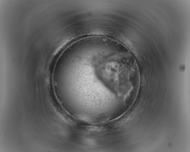 X0000091240347200708161740