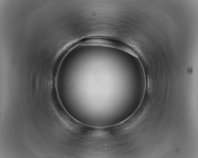 X0000091240348200708161740