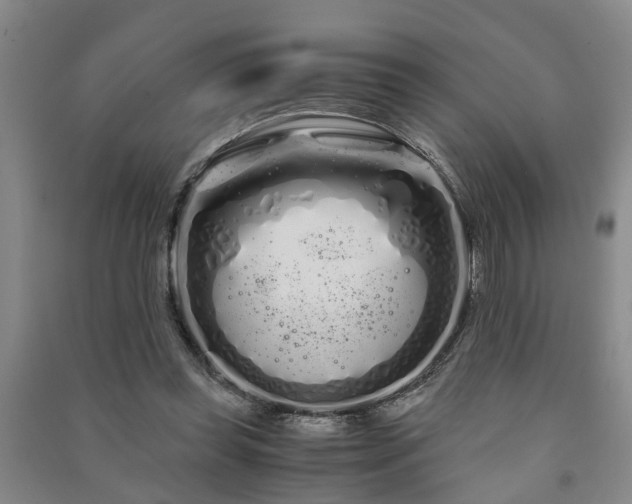 X0000091240349200708161740