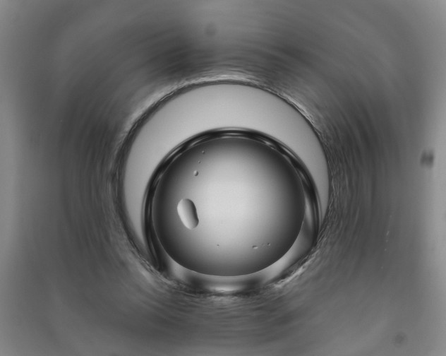 X0000091240350200708161740