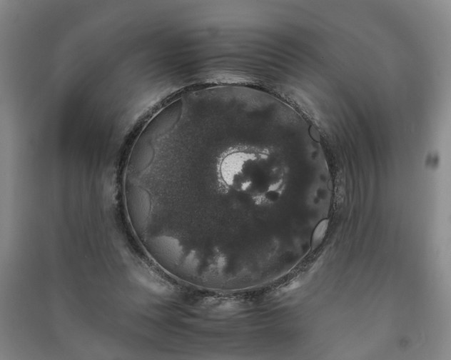 X0000091240351200708161740