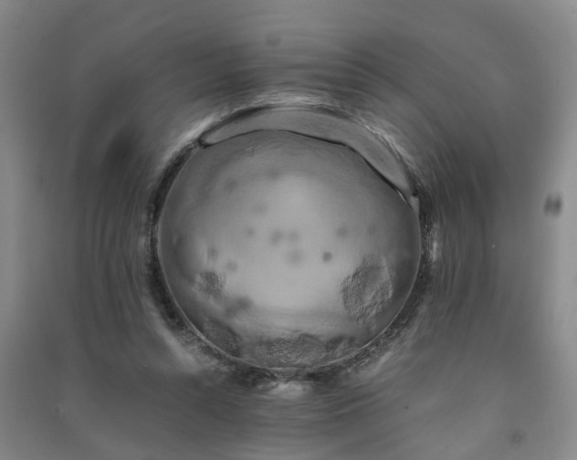 X0000091240352200708161740