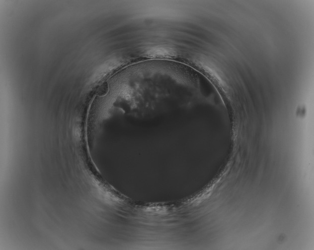 X0000091240353200708161740