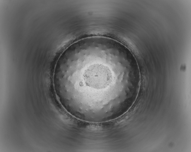 X0000091240354200708161740