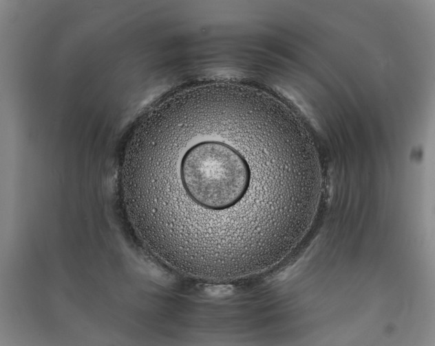 X0000091240355200708161740