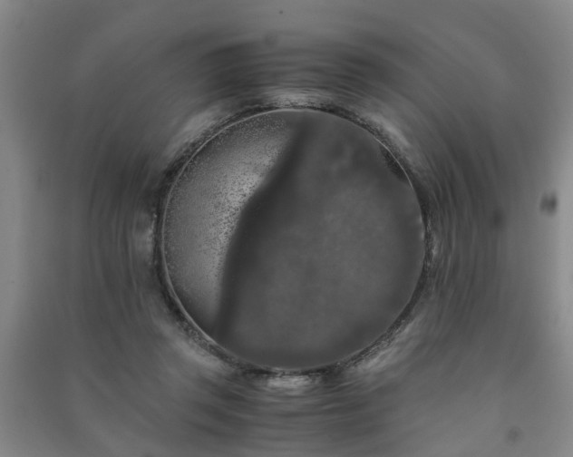 X0000091240357200708161740