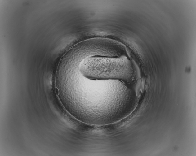 X0000091240358200708161740