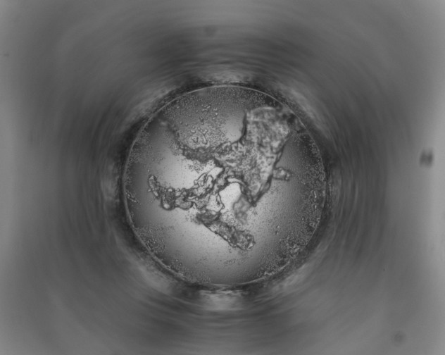 X0000091240359200708161740