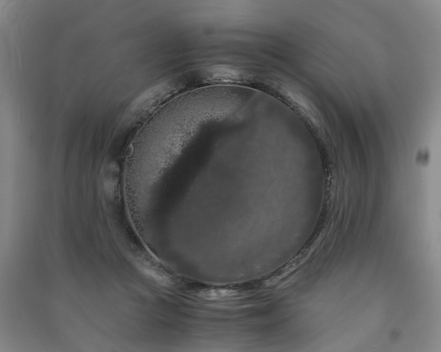 X0000091240361200708161740
