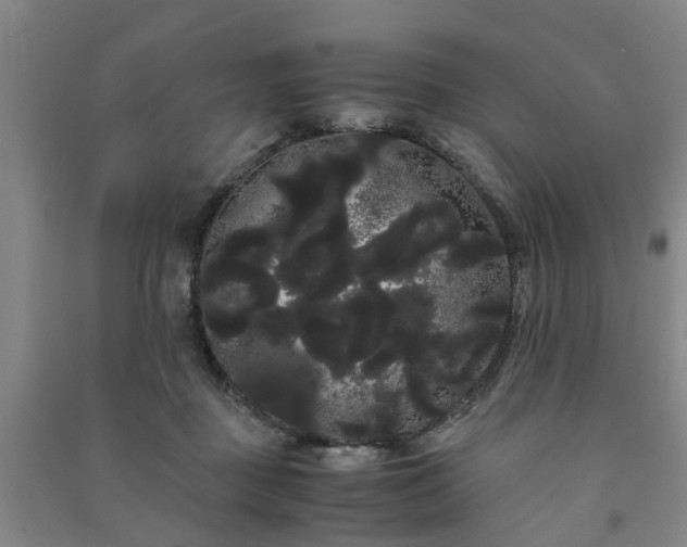 X0000091240363200708161740