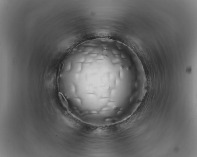 X0000091240364200708161740