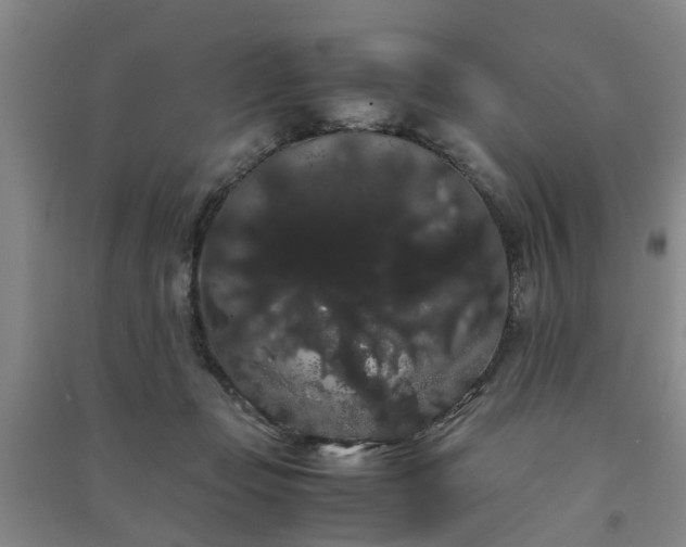 X0000091240365200708161741
