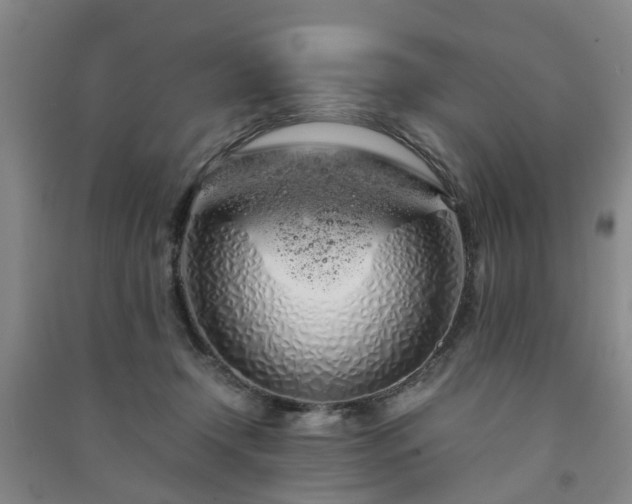 X0000091240366200708161741