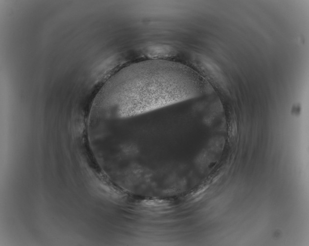 X0000091240367200708161741