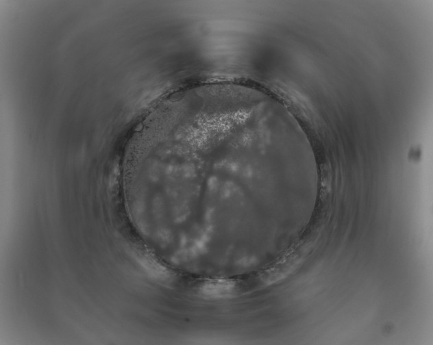 X0000091240369200708161741