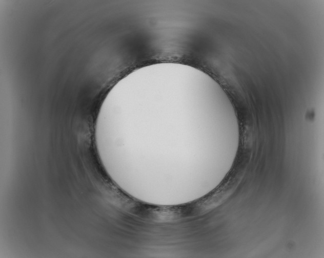 X0000091240370200708161741