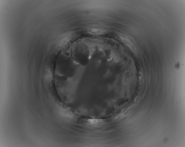 X0000091240371200708161741