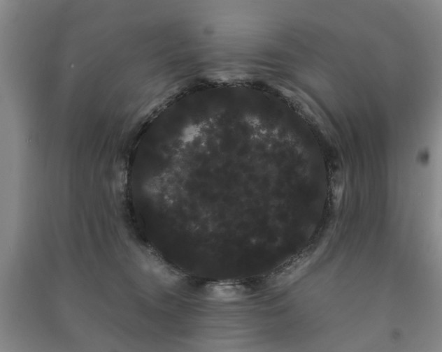 X0000091240372200708161741