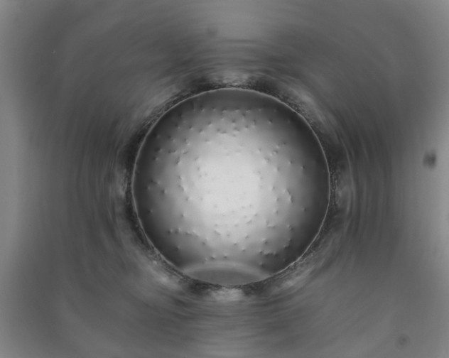 X0000091240374200708161741