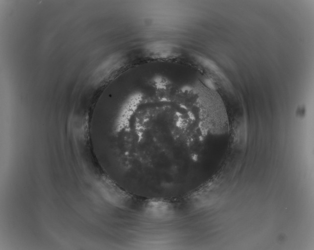 X0000091240376200708161741