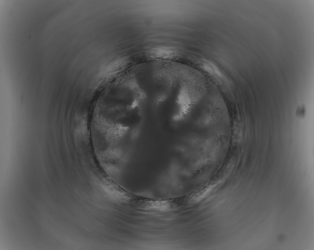 X0000091240377200708161741