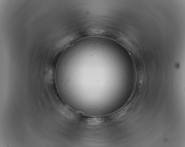 X0000091240378200708161741