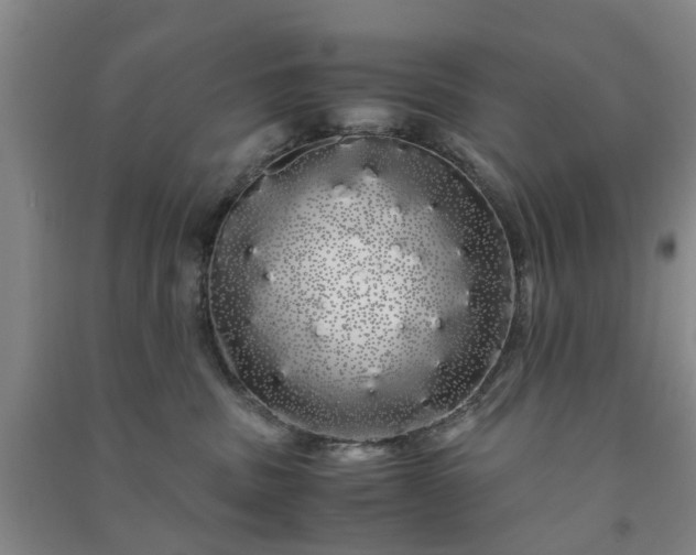 X0000091240379200708161741
