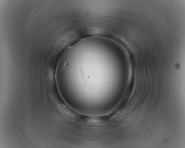 X0000091240380200708161741