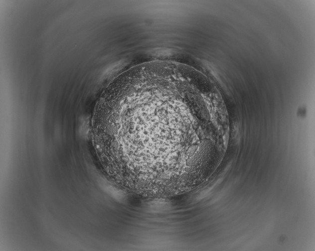 X0000091240383200708161741